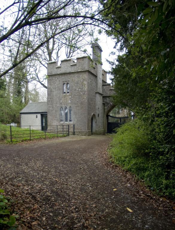 Anne'S Grove Miniature Castle Villa Castletownroche Room photo